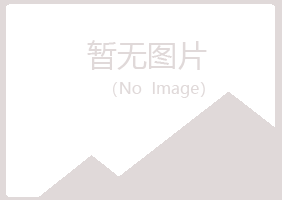 阳朔县夏岚咨询有限公司